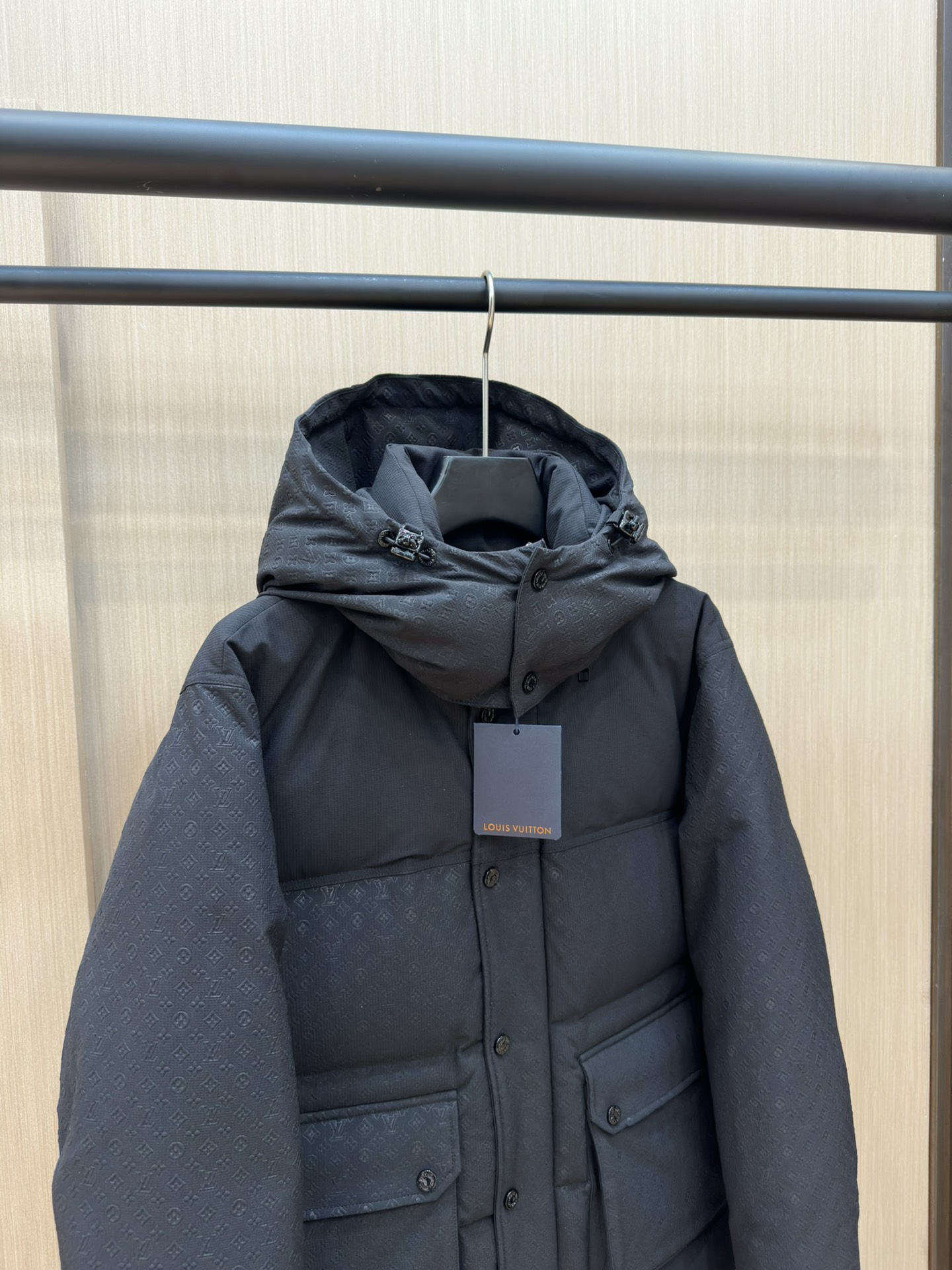 Louis Vuitton Down Jackets